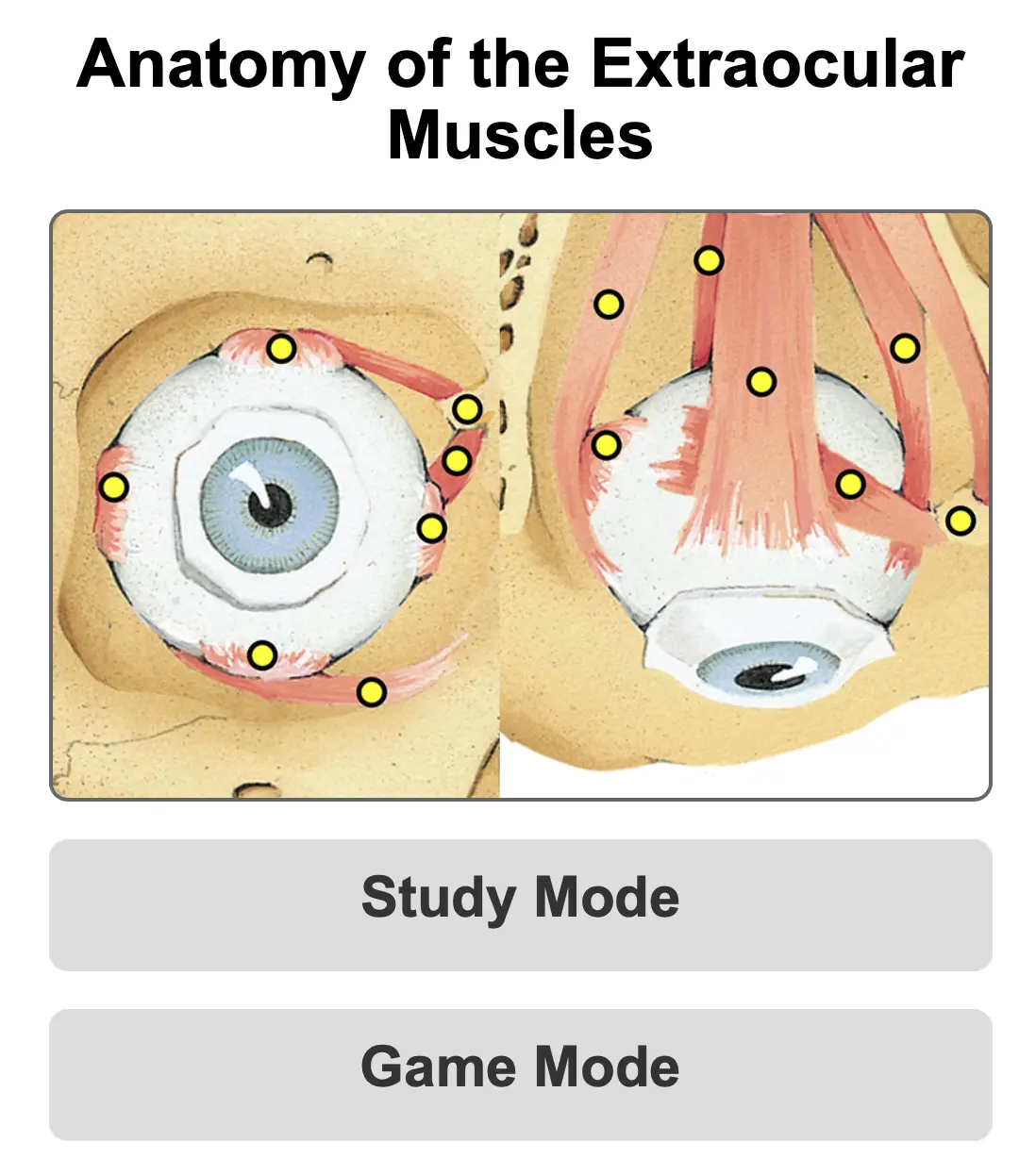 Slit Lamp Function My First Annual Meeting as a Medical Student: Finding Community ...